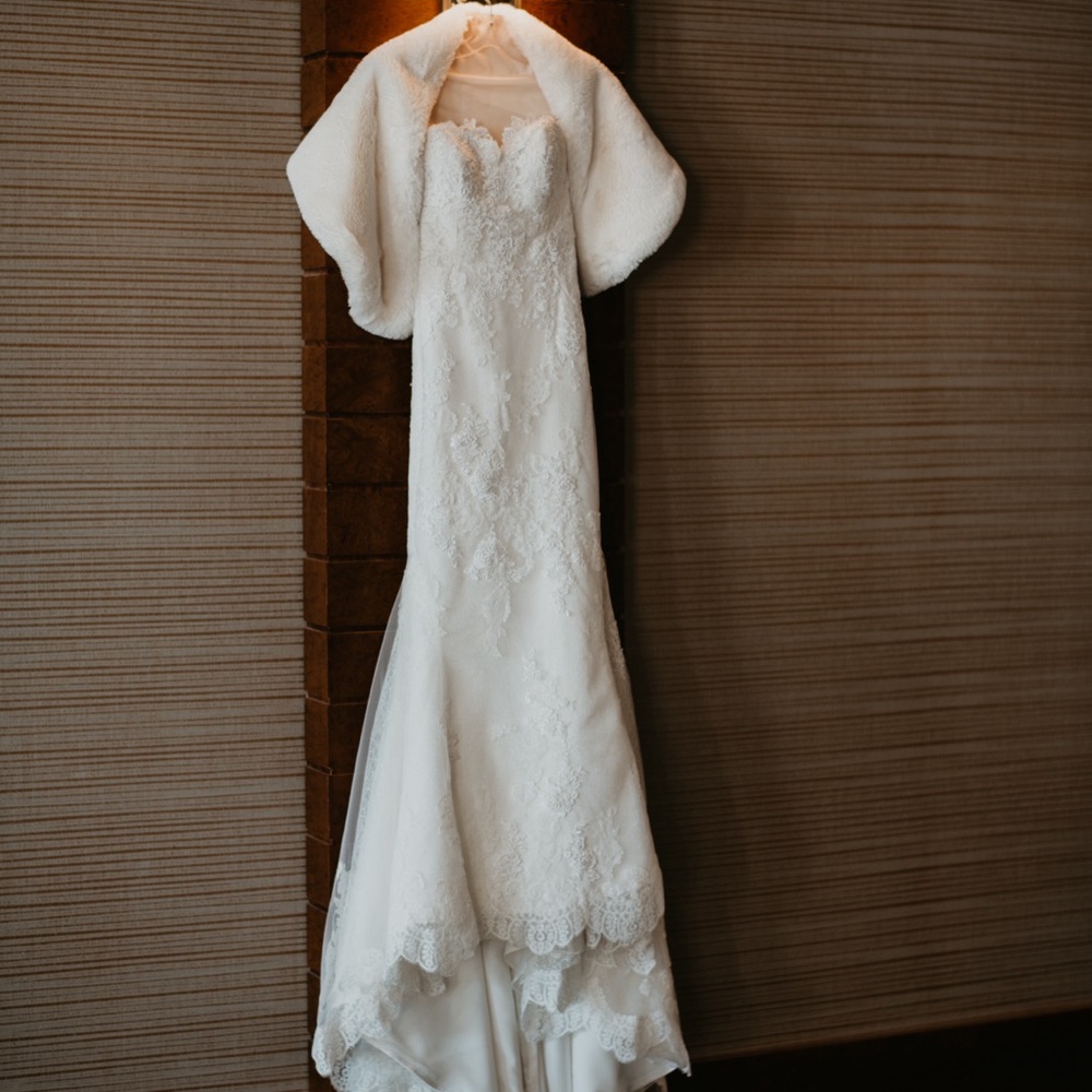 Pronovias Princia Wedding Gown